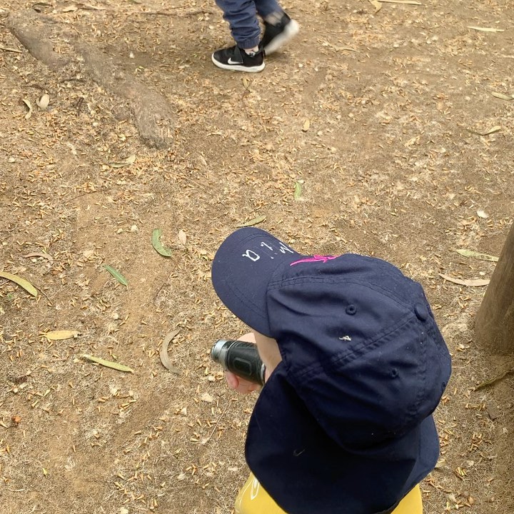 We’re going on a safari expedition... 

Different safari animals were placed around the creek area, some hiding and the children went on a fun adventure with their binoculars to find them.
🦁🐅🦛🦒🐘
