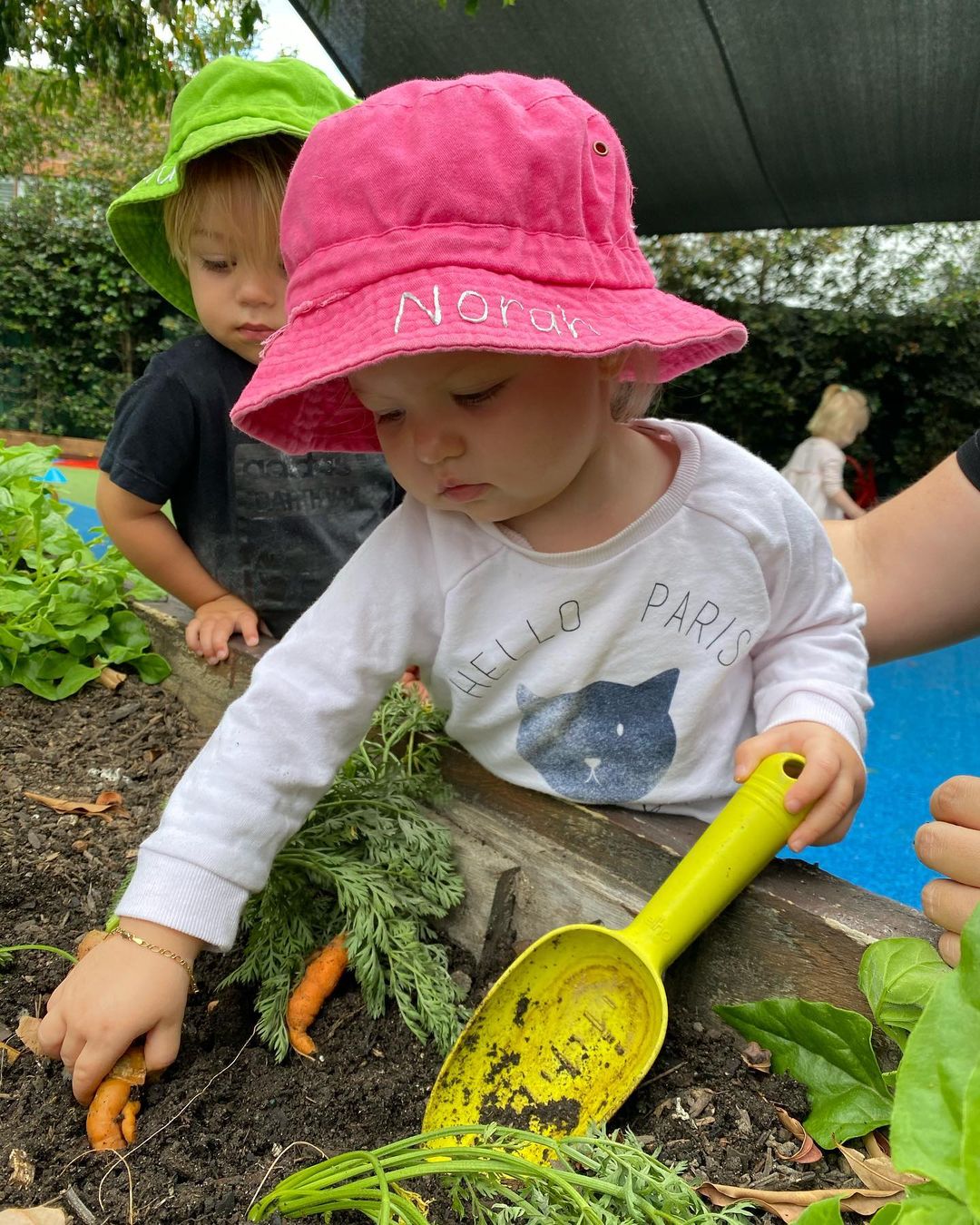 🏃‍♂️🍏🍋🍇🍎Nutrition Week🍉🥝🍊🍓🏃‍♀️

This week was Nutrition week! During the week the children have been learning all about healthy eating and healthy bodies and what foods help us have healthy teeth 🦷 and bones 🦴, healthy eyes 👀 and are good brain 🧠 foods to help us learn and play! 

All the children were able to contribute as we grew and planted veggies in the garden and made fruit smoothies and healthy slices 🍌🥕🍏 to give us lots of energy to play outside 

“A healthy outside starts from the inside” - Robert Urich 

🥝🍓🍊🍉🍎🍇🍋🥭🍐🍈🥑🍍🥕🍌🍏

#nutritionweek #nutrition #healthyeating #healthybodies #fruitandveg #happy 
#childcare #earlylearning #goldcoastchildcare #community #nationalqualitystandards #nationalqualityframework #aheadstartcentres
